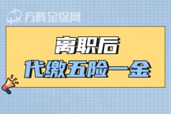 个人在武汉离职后代缴五险一金应该如何操作？