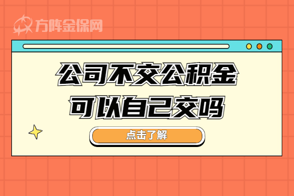 公积金自己可以交吗