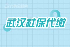 个人在武汉社保代缴怎么办理？