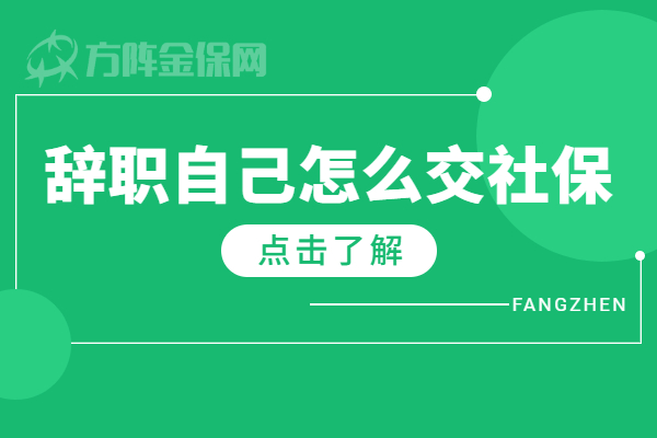 辞职自己怎么交社保