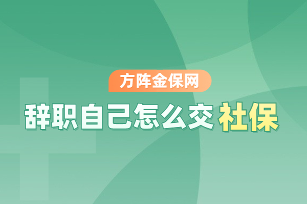 辞职自己怎么交社保