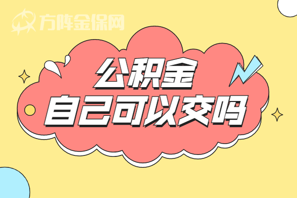 公积金自己可以交吗
