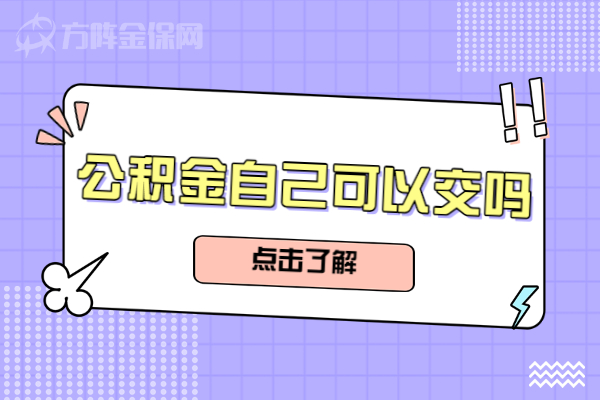 公积金自己可以交吗