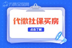 代缴社保买房，是您的不二之选！