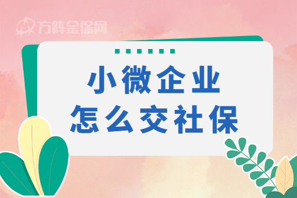 小微企业怎么交社保