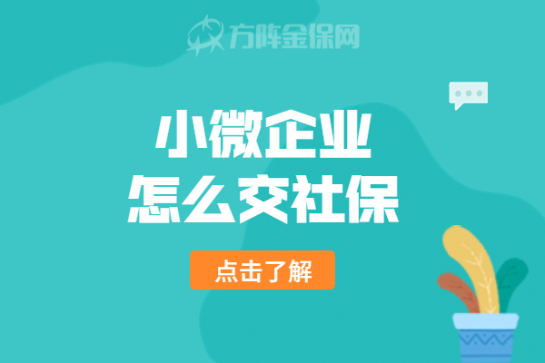 小微企业怎么交社保