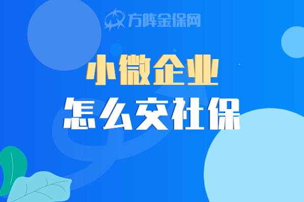 小微企业怎么交社保 小微企业怎么交社保