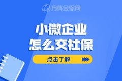 麻雀虽小五脏也要俱全，小微企业怎么交社保？