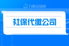 自由职业选社保代缴公司交武汉社保