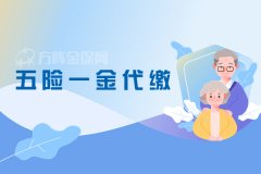 五险一金代缴可以找公司吗？