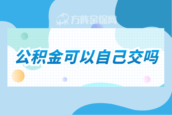 公积金可以自己交吗