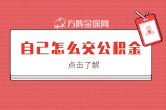 在武汉上班，自己怎么交公积金？