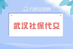 找武汉社保代交，有什么要注意的？