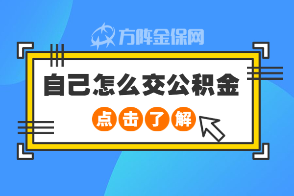 自己怎么交公积金 自己怎么交公积金