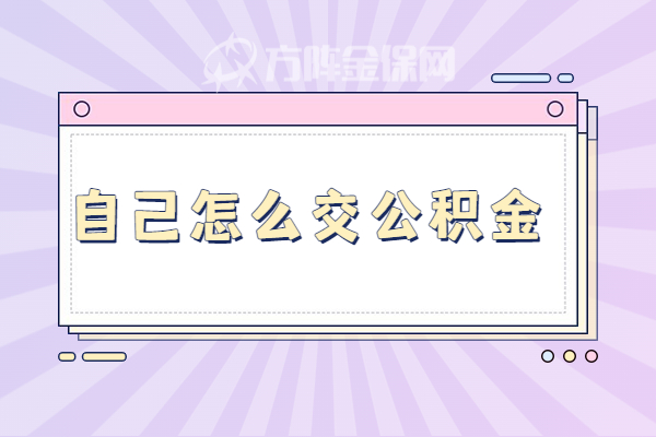 自己怎么交公积金 自己怎么交公积金