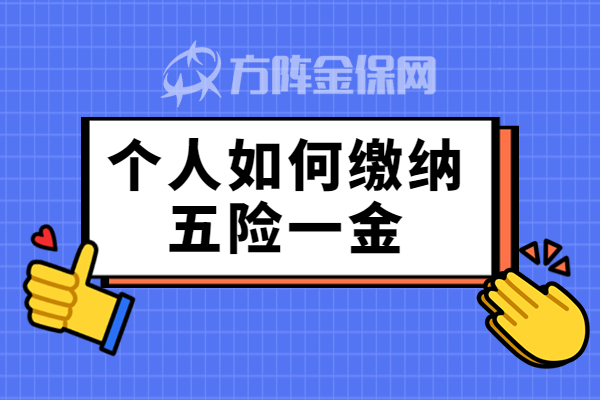 个人如何缴纳五险一金