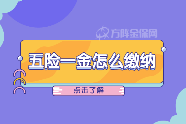 五险一金怎么缴纳 五险一金怎么缴纳