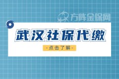 武汉社保代缴注意事项