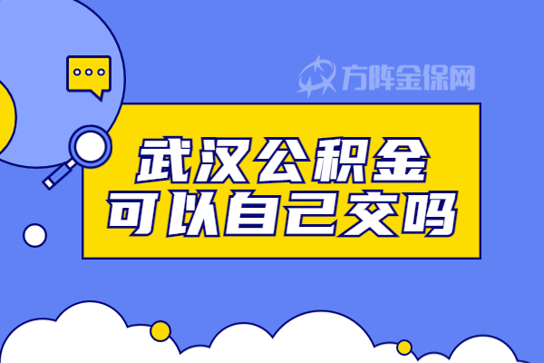 公积金可以自己交吗