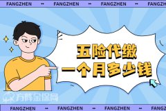 <b>方阵金保网五险代缴一个月多少钱？</b>