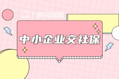 <b>中小企业交社保，怎么样最划算？</b>