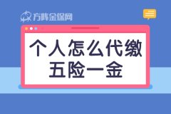 个人怎么代缴五险一金，一起来看看吧！