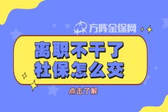 过年离职不干了社保怎么交？