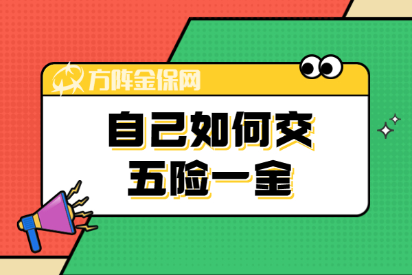 自己如何交五险一金 自己如何交五险一金