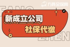 新成立公司社保代缴该怎么办理？