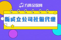 新成立公司社保代缴怎么缴？