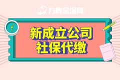 新成立公司社保代缴好不好