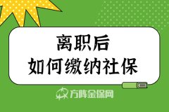 离职后如何缴纳社保，小编为您解答！