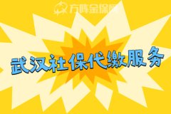 武汉社保代缴服务怎么操作？