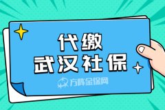 代缴武汉社保，什么时候可以到账？