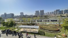 方阵举办浙江丽水·湖北招才引智活动圆满成功
