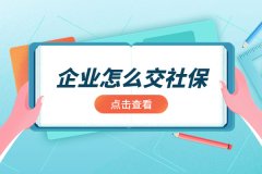 <b>在武汉企业怎么交社保？</b>