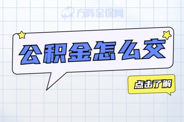 公积金怎么交