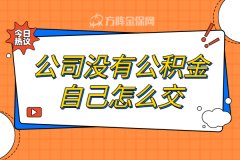 公司没有公积金自己怎么交比较合适？