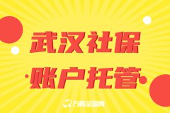 武汉社保账户托管的好处