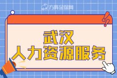 武汉人力资源服务怎么办理？