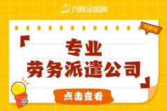 为什么企业会选择专业劳务派遣公司？