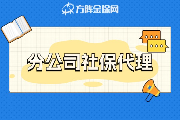 分公司社保代理