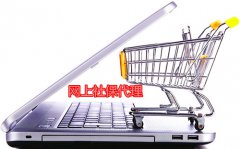 网上社保代缴：每月几十元代办费轻松方便