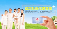 方阵金保网代缴武汉社保，试过都说好