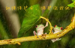 缴纳个人社保，为自己撑起一把保护伞