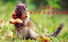 公司不给员工交社保怎么办？方阵金保为您支招