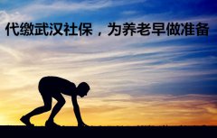 方阵金保网：代缴武汉社保，为养老早做准备
