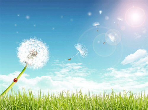 方阵金保网给异地就业人群代缴武汉社保