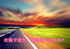 社保卡不慎遗失，如何办理急制申请？