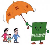 医疗保险是否可以单独缴纳？